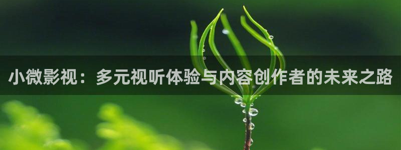 91草莓视频免费在线观看：小微影视：多元视听体验与内容创作者的未来之路