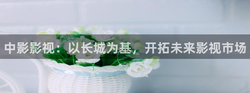 草莓成视频：中影影视：以长城为基，开拓未来影视市场