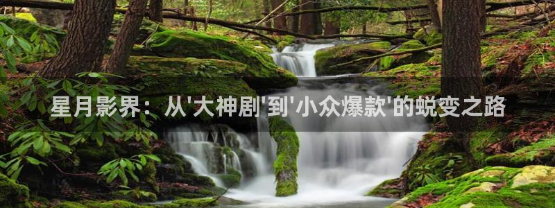 草莓视频18成年：星月影界：从\'大神剧\'到\'小众爆款\'的蜕变之路