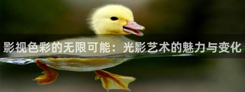 草莓视频下载站长：影视色彩的无限可能：光影艺术的魅力与变化